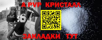 индика Гатчина