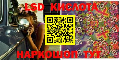 индика Гатчина