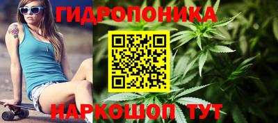 индика Гатчина
