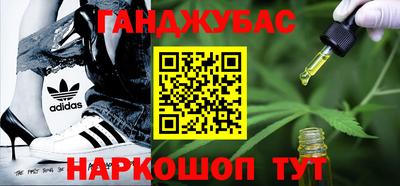 индика Гатчина