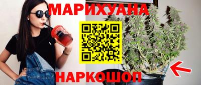 индика Гатчина