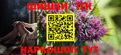 индика Гатчина