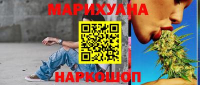 индика Гатчина