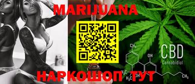 индика Гатчина