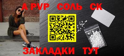 индика Гатчина