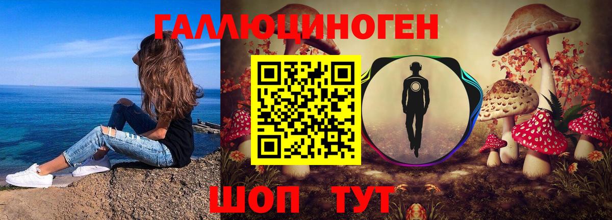 Отрадный  Галлюциногенные грибы мицелий  Вход с VPN  Галлюциногенные грибы GOLDEN TEACHER 