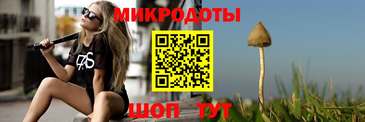 Галлюциногенные грибы ЛСД Отрадный